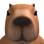 @kadasuo
