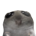 @Rocket_Kid2016