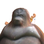 @NOLLbad