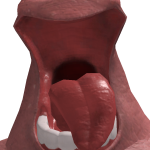 @Terka_Games1