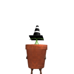 @Ezio123345z