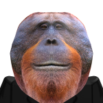 @Frezy_Dev