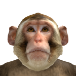 @DaNoobBilly