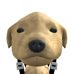 LalinhoJr