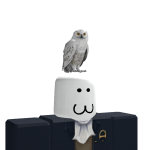 @Owl20000