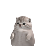 @Braulus_Gamer
