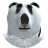 Roniroblox