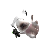 @Xsrelj