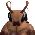 Crocroach