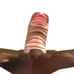 @carterqpq