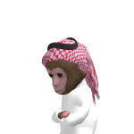 poop