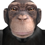 crashboxer0629 - 크리에이터 | 로블독