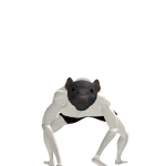 @XxXGustavoRlXxX