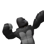 @ZachXVV