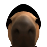 @Bacon3472