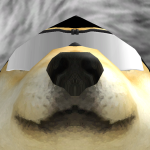 @IamDogefied