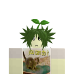 @saikuwo