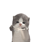 usingnom