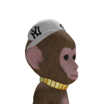 monkey