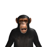 @MyUsernameExpired