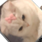 @LovRoblox19111111