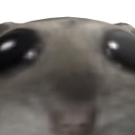 @RealObsidianDan