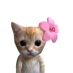 @qKelseyy