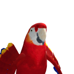 @Bluepenguin987654