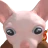 2536076802