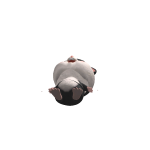 @unknown_hypermind2
