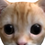 @AidanKid2004