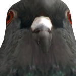 @TheGamerboi213