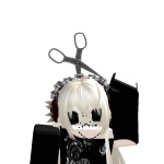 @kotorxi