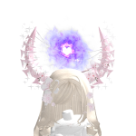 @16077061