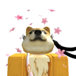 @Ninja_Doge36