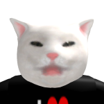 @TheKittenGamer121
