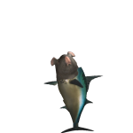 Salmoncheesehead