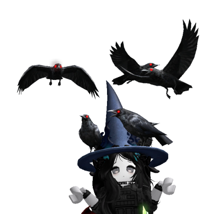 HotaruYuii