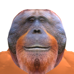 @clumpywats