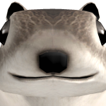 @yC4uwxll