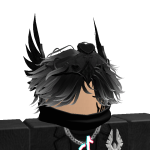 @roblox_user_2295643418