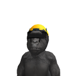 @MITCH_BEST17