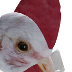 @42feralhogs