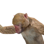@SirGubbins
