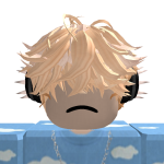 @bloxNL12