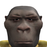 @Knorti123