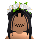 @Roblox_lunar110