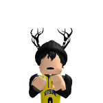 @raitransportpro4513