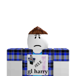 @BeeSwarmPro_88