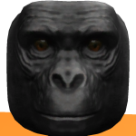 @roblox26io